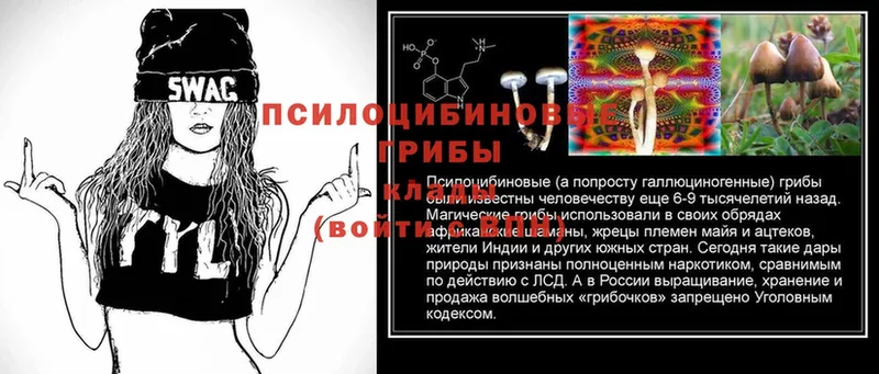 Псилоцибиновые грибы MAGIC MUSHROOMS Луховицы